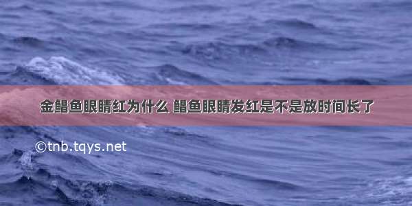 金鲳鱼眼睛红为什么 鲳鱼眼睛发红是不是放时间长了