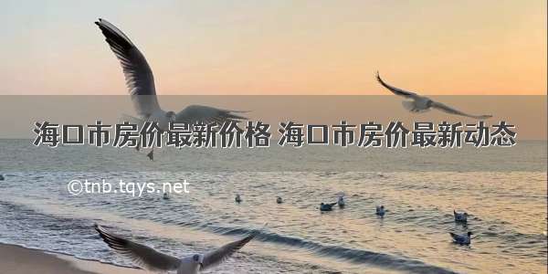 海口市房价最新价格 海口市房价最新动态