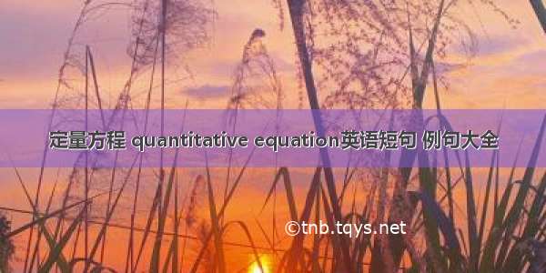 定量方程 quantitative equation英语短句 例句大全