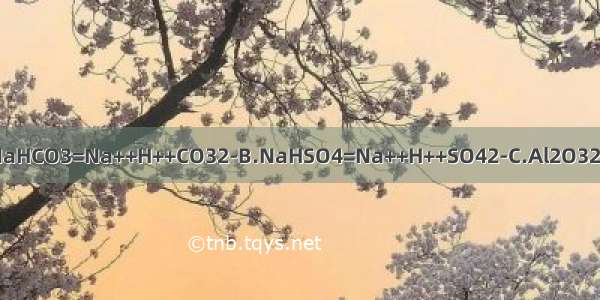 下列电离方程式错误的是A.NaHCO3=Na++H++CO32-B.NaHSO4=Na++H++SO42-C.Al2O32Al3++3O2-D.CaCO3=Ca2++