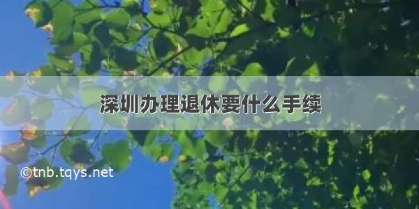 深圳办理退休要什么手续