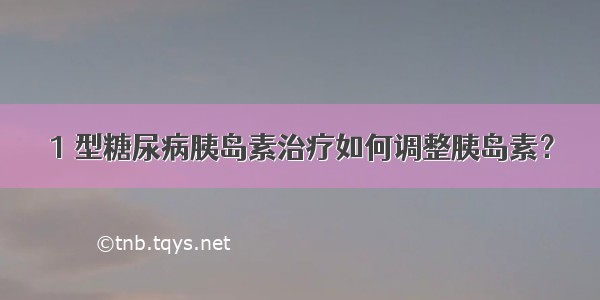 1 型糖尿病胰岛素治疗如何调整胰岛素？