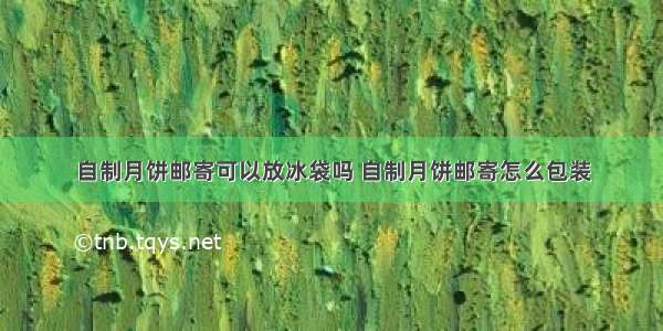 自制月饼邮寄可以放冰袋吗 自制月饼邮寄怎么包装