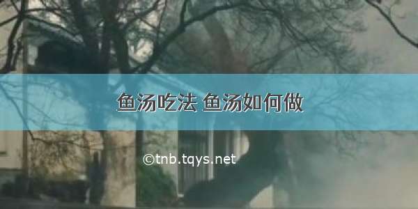 鱼汤吃法 鱼汤如何做