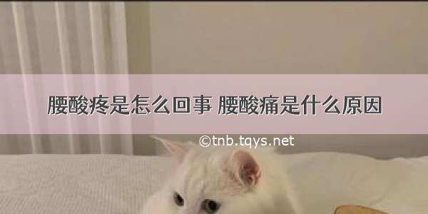 腰酸疼是怎么回事 腰酸痛是什么原因