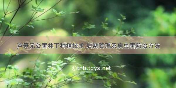 芦笋无公害林下种植技术 后期管理及病虫害防治方法