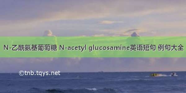 N-乙酰氨基葡萄糖 N-acetyl glucosamine英语短句 例句大全