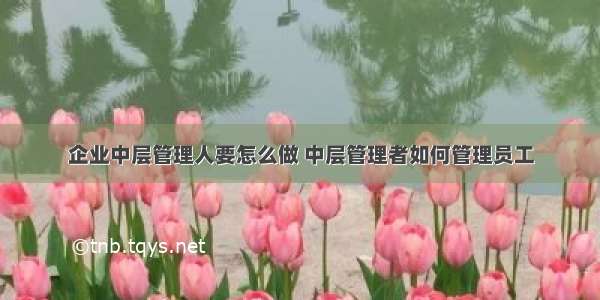 企业中层管理人要怎么做 中层管理者如何管理员工