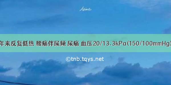 男 28岁 5年来反复低热 腰痛伴尿频 尿痛 血压20/13.3kPa(150/100mmHg) 尿常规：