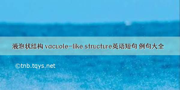 液泡状结构 vacuole-like structure英语短句 例句大全