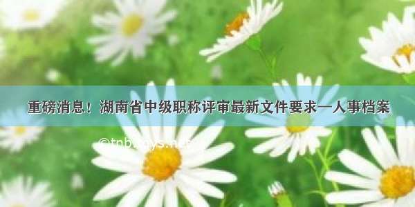 重磅消息！湖南省中级职称评审最新文件要求—人事档案