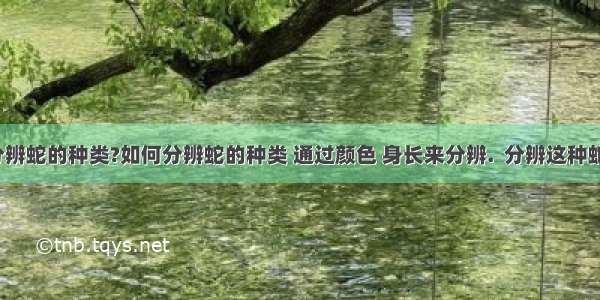 【如何分辨蛇的种类?如何分辨蛇的种类 通过颜色 身长来分辨.  分辨这种蛇是不是有