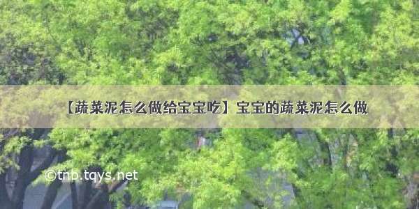 【蔬菜泥怎么做给宝宝吃】宝宝的蔬菜泥怎么做