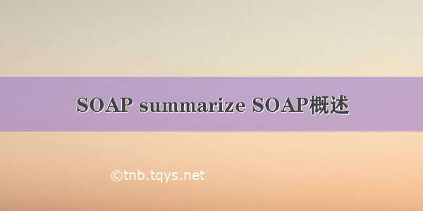 SOAP summarize SOAP概述