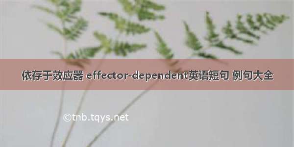 依存于效应器 effector-dependent英语短句 例句大全