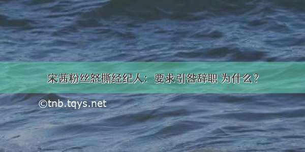 宋茜粉丝怒撕经纪人：要求引咎辞职 为什么？