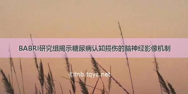 BABRI研究组揭示糖尿病认知损伤的脑神经影像机制