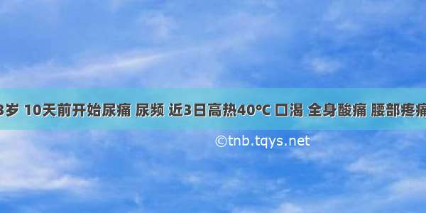 女性 43岁 10天前开始尿痛 尿频 近3日高热40℃ 口渴 全身酸痛 腰部疼痛尤为显