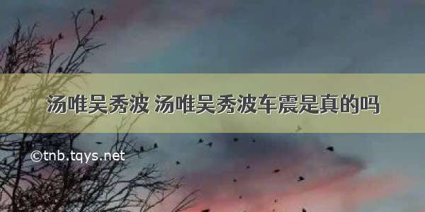 汤唯吴秀波 汤唯吴秀波车震是真的吗