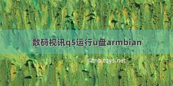 数码视讯q5运行u盘armbian