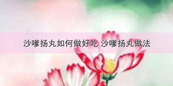 沙嗲扬丸如何做好吃 沙嗲扬丸做法