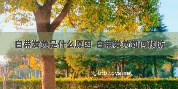 白带发黄是什么原因  白带发黄如何预防