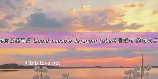 液囊空肠导管 Liquid-capsule Jejunum Tube英语短句 例句大全