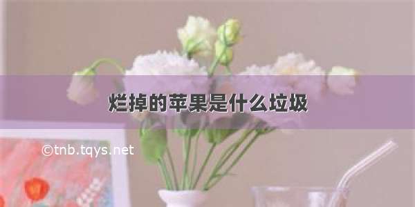 烂掉的苹果是什么垃圾