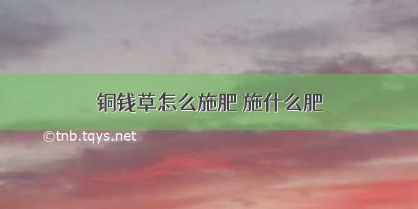 铜钱草怎么施肥 施什么肥