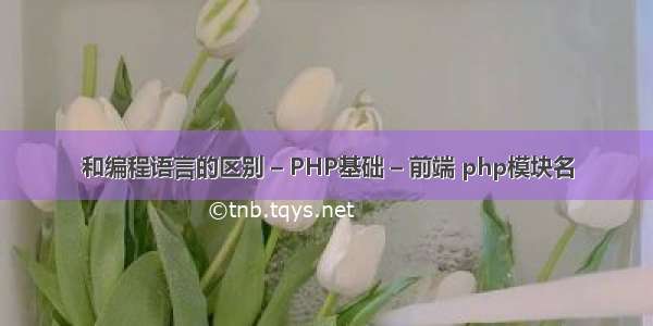 和编程语言的区别 – PHP基础 – 前端 php模块名