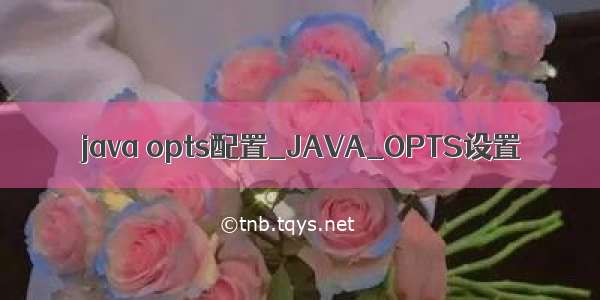 java opts配置_JAVA_OPTS设置