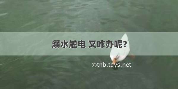 溺水触电 又咋办呢？