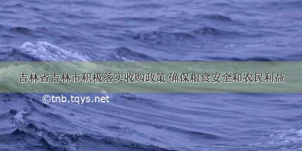 吉林省吉林市积极落实收购政策 确保粮食安全和农民利益