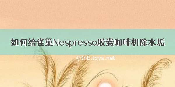 如何给雀巢Nespresso胶囊咖啡机除水垢