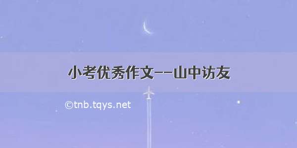 小考优秀作文--山中访友