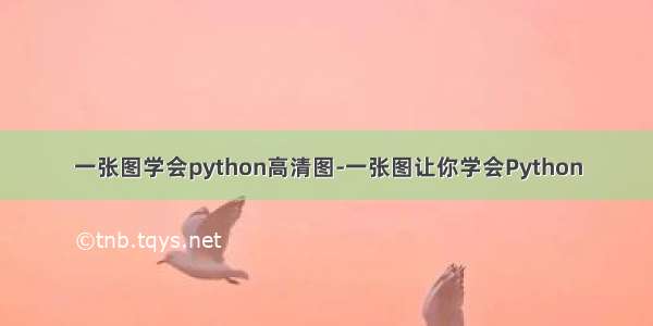 一张图学会python高清图-一张图让你学会Python