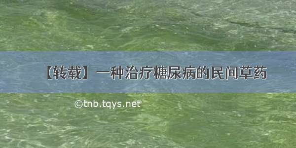 【转载】一种治疗糖尿病的民间草药