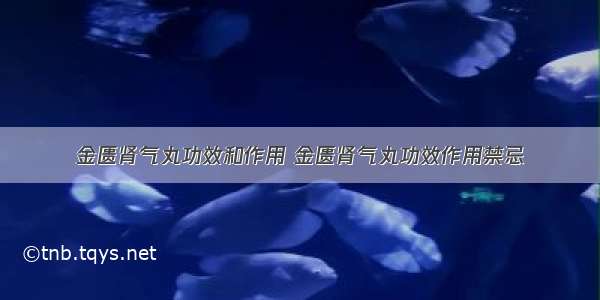 金匮肾气丸功效和作用 金匮肾气丸功效作用禁忌