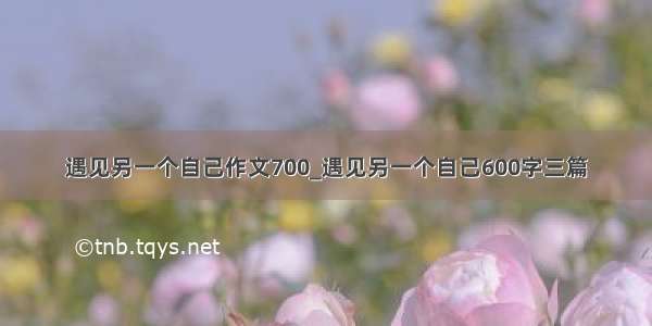 遇见另一个自己作文700_遇见另一个自己600字三篇