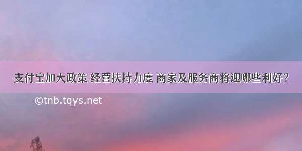 支付宝加大政策 经营扶持力度 商家及服务商将迎哪些利好？