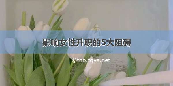 影响女性升职的5大阻碍