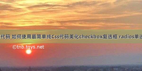 html滚动选择框代码 如何使用最简单纯Css代码美化checkbox复选框 radios单选框和滑动按钮...