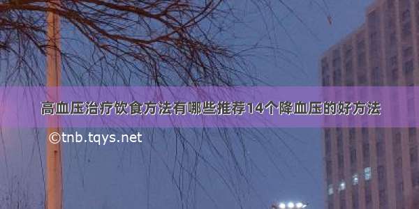 高血压治疗饮食方法有哪些推荐14个降血压的好方法