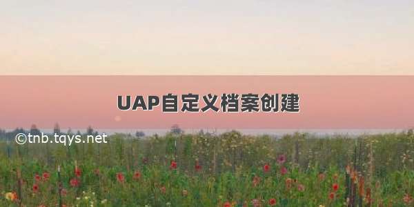 UAP自定义档案创建