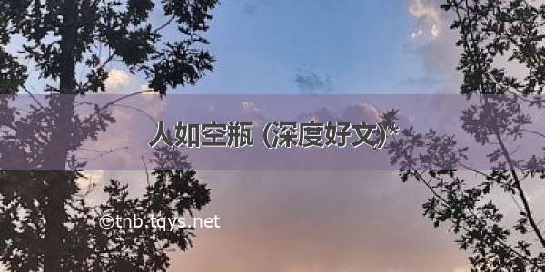 人如空瓶 (深度好文)*