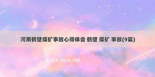 河南鹤壁煤矿事故心得体会 鹤壁 煤矿 事故(9篇)