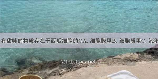 西瓜很甜 有甜味的物质存在于西瓜细胞的CA. 细胞膜里B. 细胞质里C. 液泡中的细胞