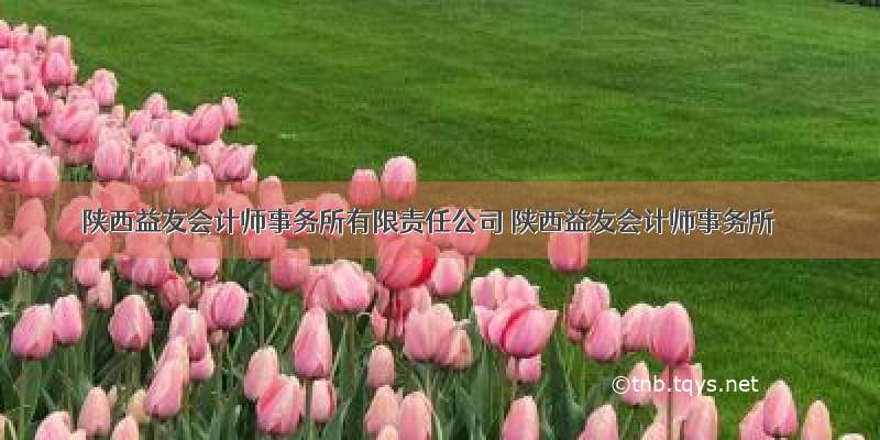 陕西益友会计师事务所有限责任公司 陕西益友会计师事务所