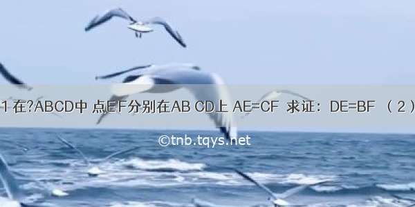 （1）如图1 在?ABCD中 点E F分别在AB CD上 AE=CF．求证：DE=BF．（2）如图2 在