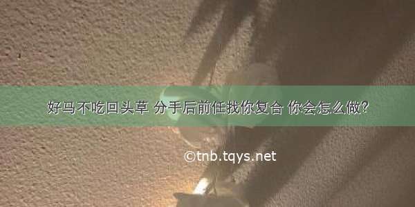 好马不吃回头草 分手后前任找你复合 你会怎么做？